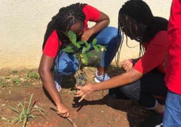 Tree Planting Exercise with with Real Change Network Africa of University of Ghana